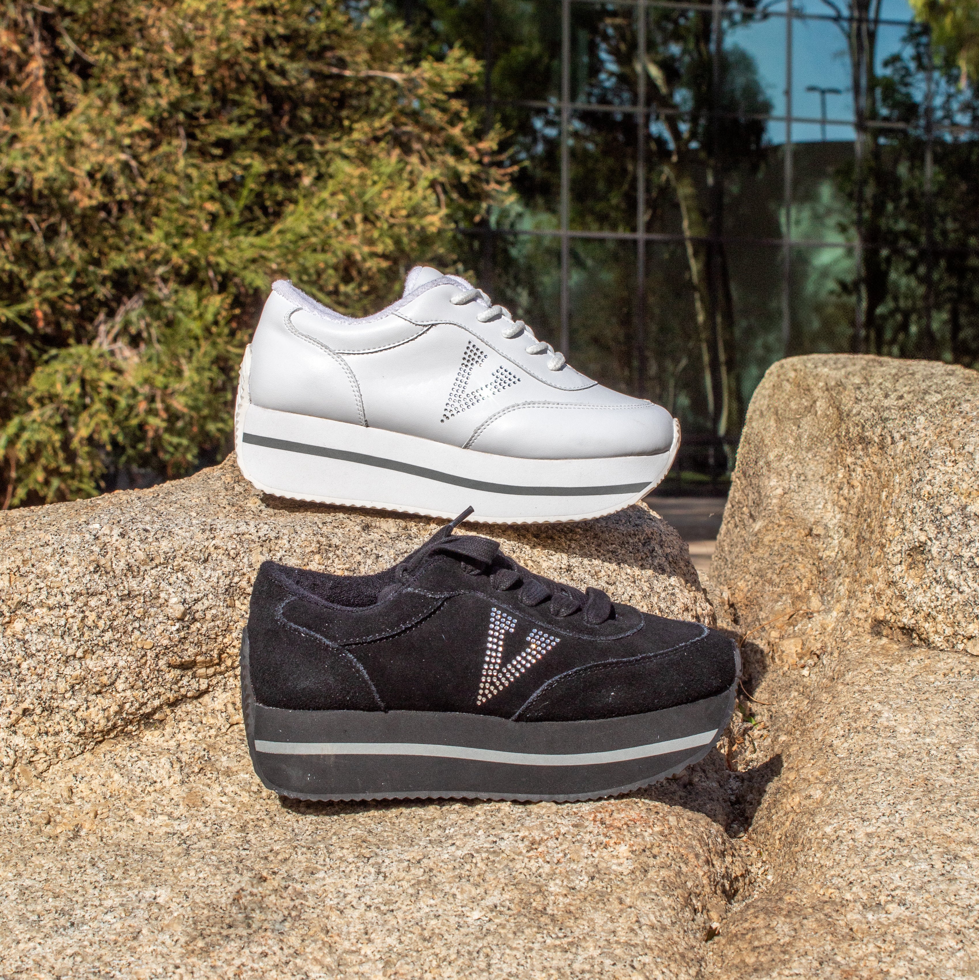 EXPULSION - CLEARANCE