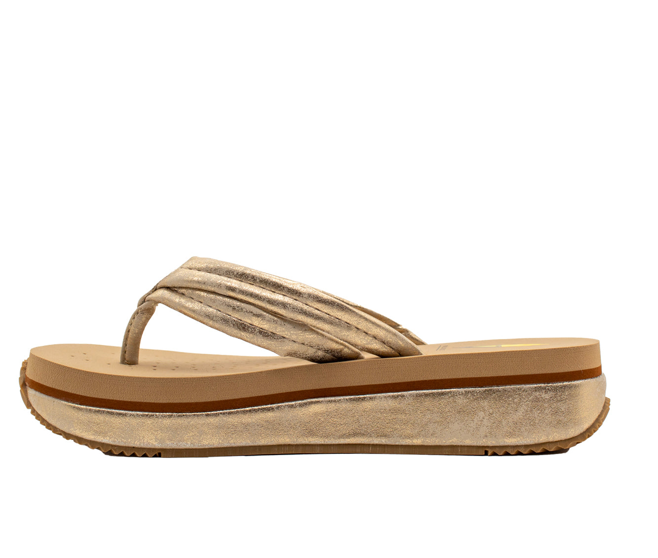 STARGAZER - CLEARANCE